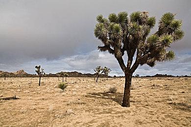 战锤SKULL节重磅揭晓：《爆矢枪2》、《黑暗异端》等全新作登场！