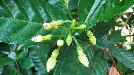 《星际公民：42中队》雄心壮志 想要媲美《GTA6》