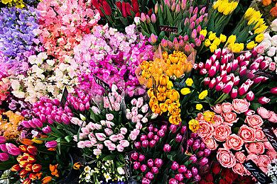 《无主星渊》游戏评测